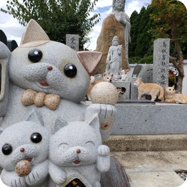 ペットのお墓イメージ